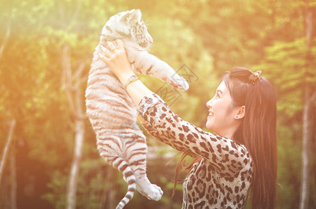 漂亮的女人拿着白发小老虎带着闪耀的光图片