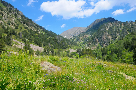 风景山脉草地图片