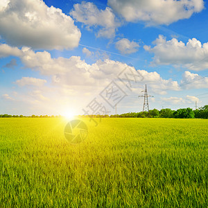 小麦田和蓝天日出图片