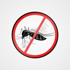例如登革热zika病黄热chikungya病丝虫疟疾等插画
