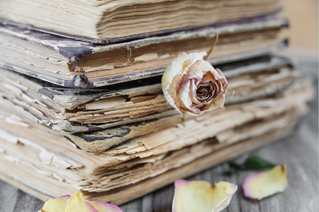 堆成的旧书和干玫瑰躺在一块旧木板上图片