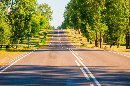 夏天的公路图片