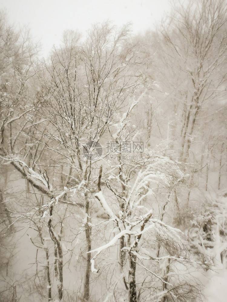 雪暴期间滑度假胜地的抽象场景图片