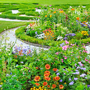 花圃花坛园艺夏花床和绿草背景
