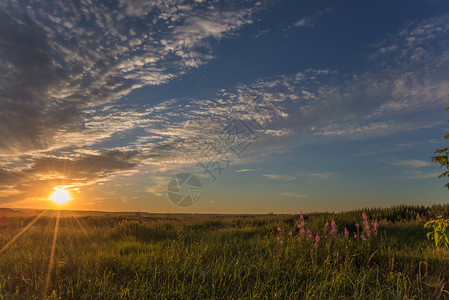 美丽的农村风景天空惊艳山云夏晨草原上朵野花图片
