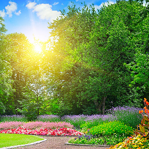 夏季公园花床多彩日出在蓝天盛开高清图片素材