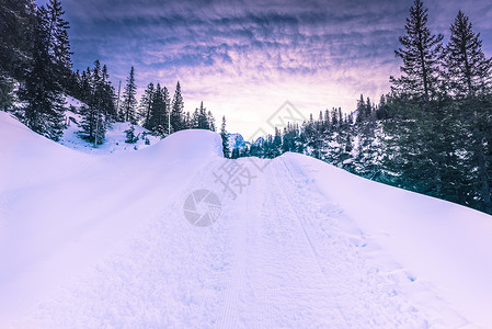 阿尔卑山冬季雪景图片