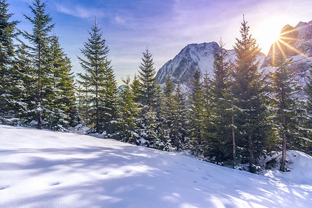 雪地高山风景冬季图片