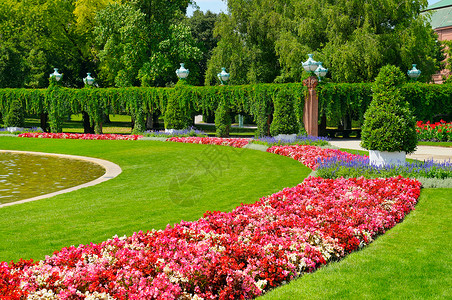 带花床和绿草的夏季公园背景图片