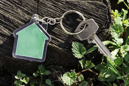 以木制房屋形状的钥匙链绿色彩房屋图片