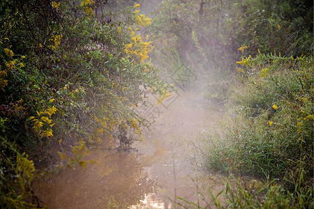 鱼溪清晨雾图片