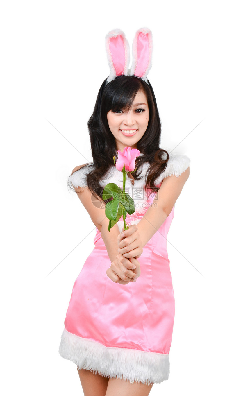 感兔子女孩拿着粉红玫瑰孤立在白色背景上图片