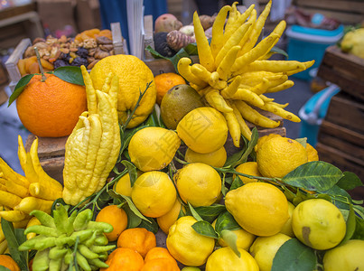 柑橘柠檬芒果和奇形的指尖柑橘称为citrusmedica科学图片