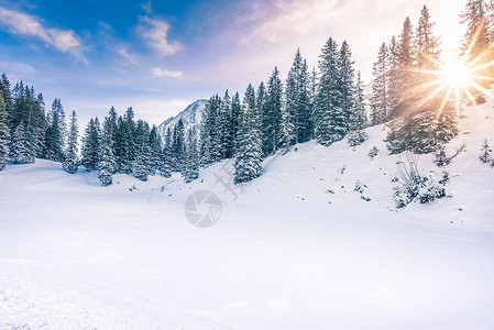 冬季雪地风景图片