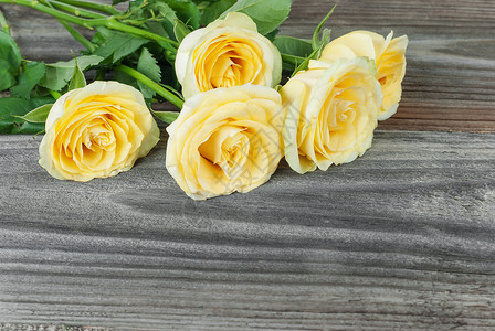 黄色玫瑰花束躺在旧木板未涂漆的本底图片