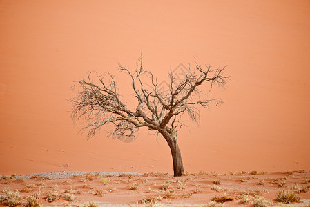 荒漠沙漠图片
