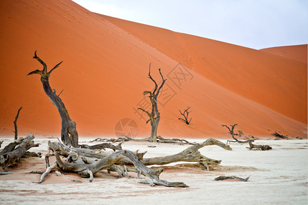 荒地沙漠图片