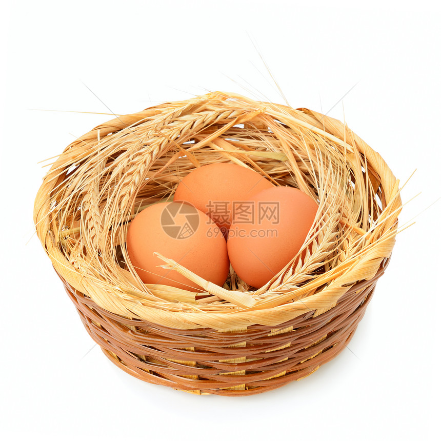 鸡蛋篮子里孤独的鸡蛋图片