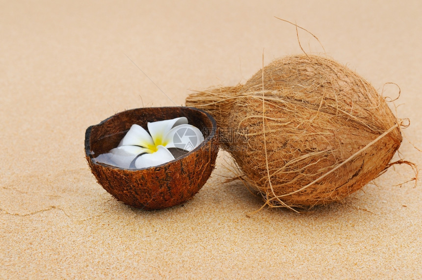 椰子和木兰花在沙滩上图片