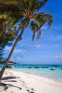 白沙滩和莫奥里亚岛的环礁湖码头图片