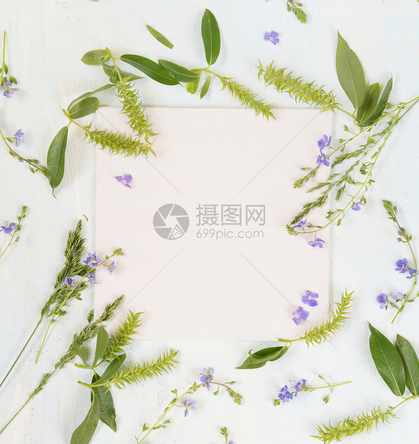 夏季框架有新鲜树枝草药和蓝花放在浅木背景上顶部视图平板顶部视图图片
