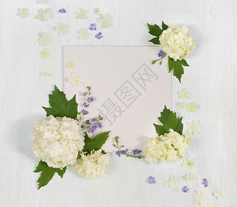 夏季框架有新鲜白花和蓝绿叶浅木背景的花瓣顶视平躺俯立背景图片