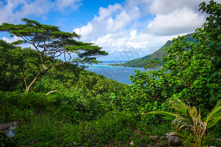 山城美女穆婷婷穆奥拉岛的普鲁努湾和环礁湖的空中观察背景