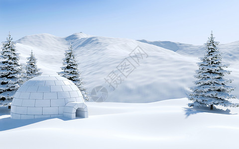 雪地的冰山和松树覆盖着雪北极风景图片