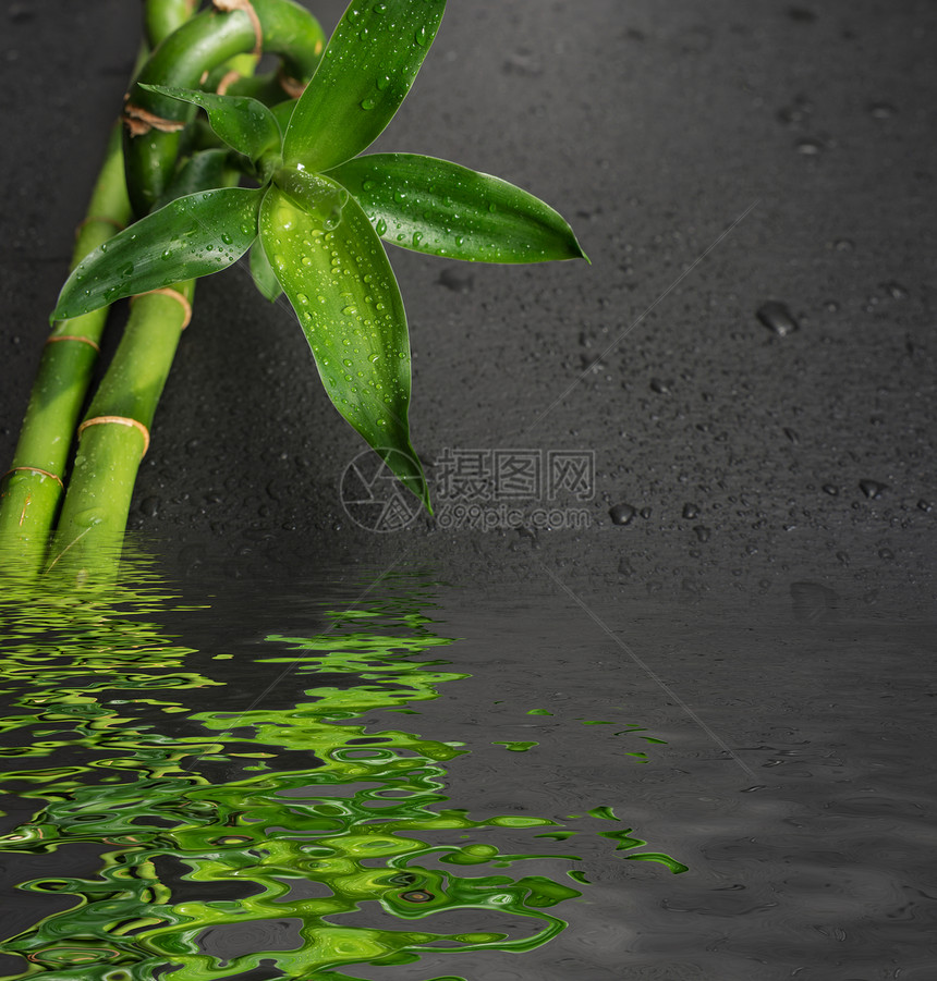 绿竹芽和花茎覆盖着以黑色背景的水滴其黑色背景反映于小浪的水面上有小波文字版面图片