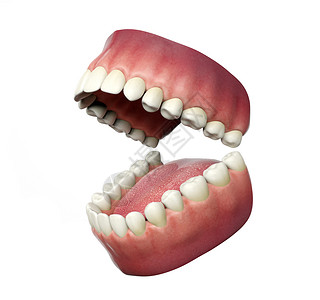 白背景的人类牙张开3D背景图片