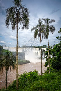 落公园热带瀑布和雨林景观图片