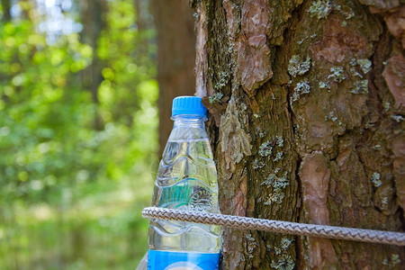 装着饮用水的瓶子绑在树上背景图片