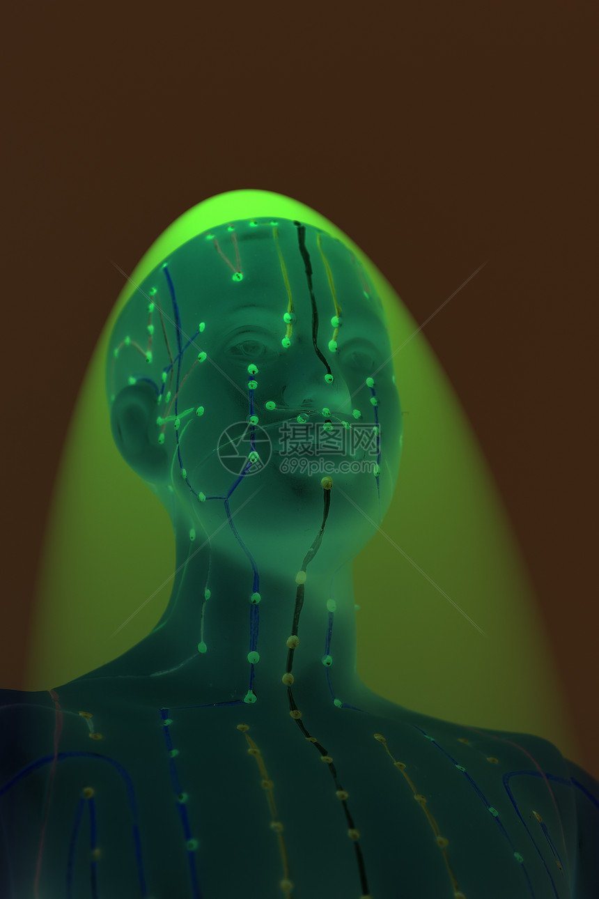黄色本底人类头部的医学针孔穿模型图片
