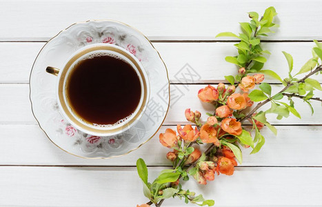 美丽的瓷花杯绿茶和红叶花枝白色的旧木本底图片