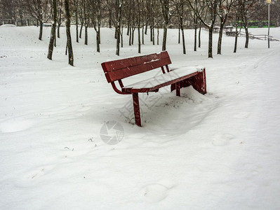 在人行道附近的一个冬季公园内雪盖的长凳图片