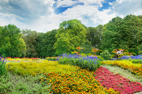 夏季公园有美丽的花床和天空背景图片