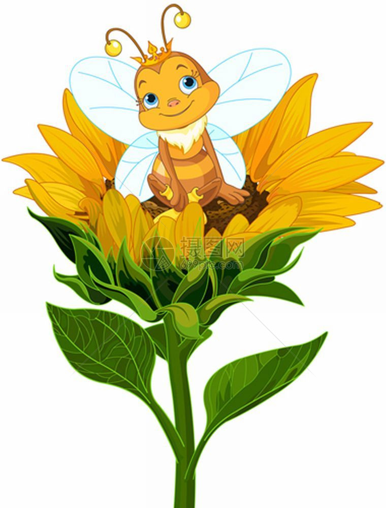 可爱的蜂后坐在向日葵上图片