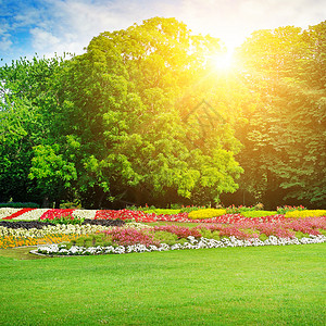 夏季公园有美丽的花床草地高清图片素材