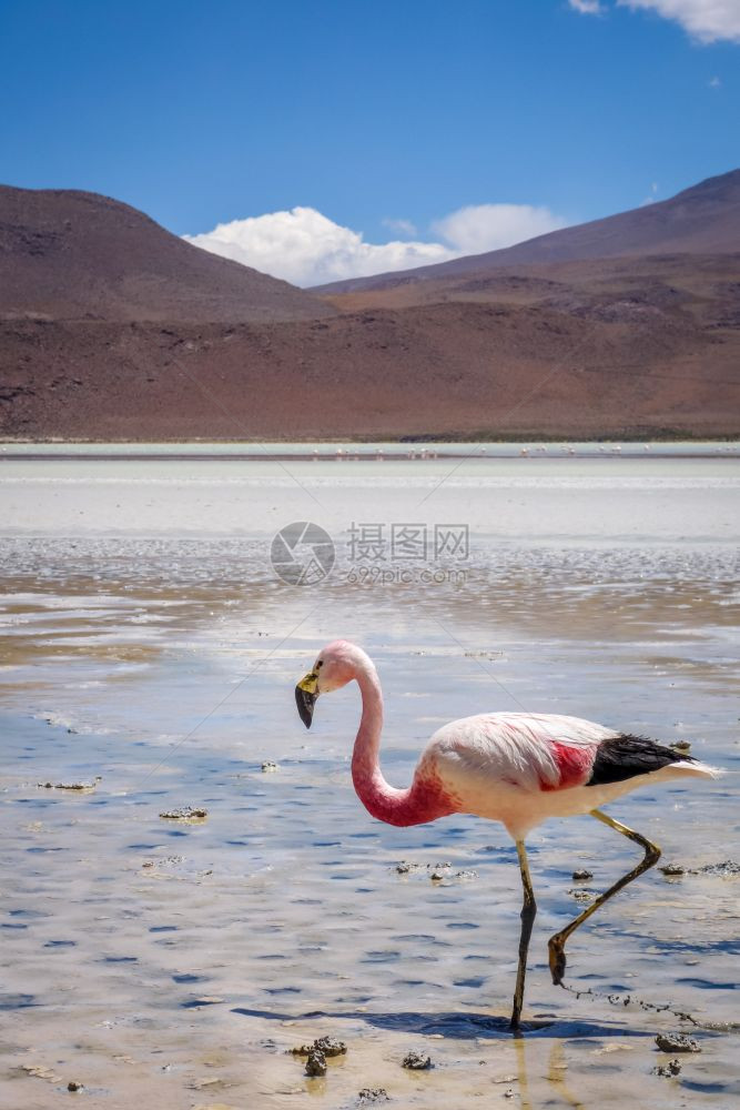 沙漠自然景观图片