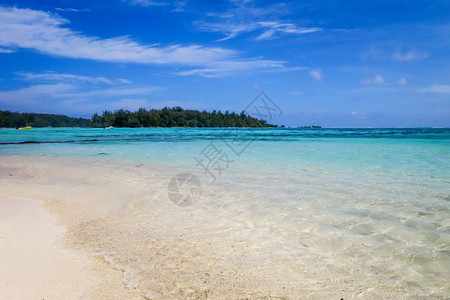 morea岛的热带白色沙滩和环礁湖法国多语言热带白色沙滩和morea岛的环礁湖背景图片