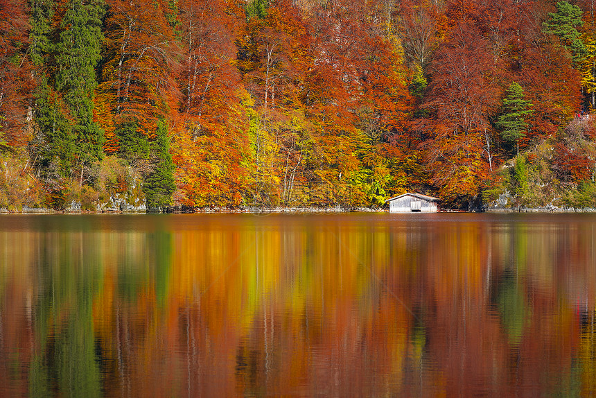 树上有落叶颜色和白木屋照在德国大教堂的阿尔普西湖水中图片