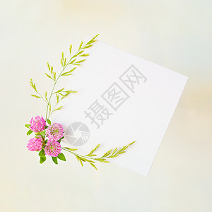 泛黄档案素材婚礼或家庭相册的剪布页旧黄纸背景上带有粉三叶和绿色蓝草的框顶视平躺背景