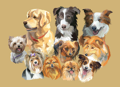 不同品种的宠物狗卡通可爱狗肖像设计图片