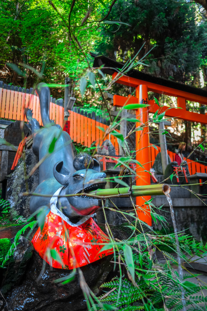 狐狸净化喷泉在fushimiinaritaishatorii神社京都日本狐狸净化喷泉在fushimiinaritaisha京都日图片