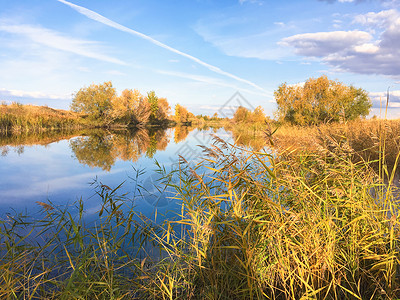 俄罗斯的秋天河流风景俄罗斯的秋天自然风景阳光照耀蓝湖或河流背景图片