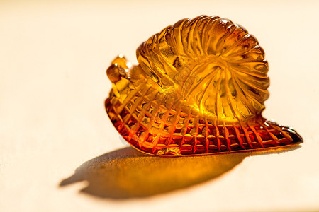 太阳中的黄蜗牛图片