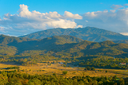 山岳和稻田图片