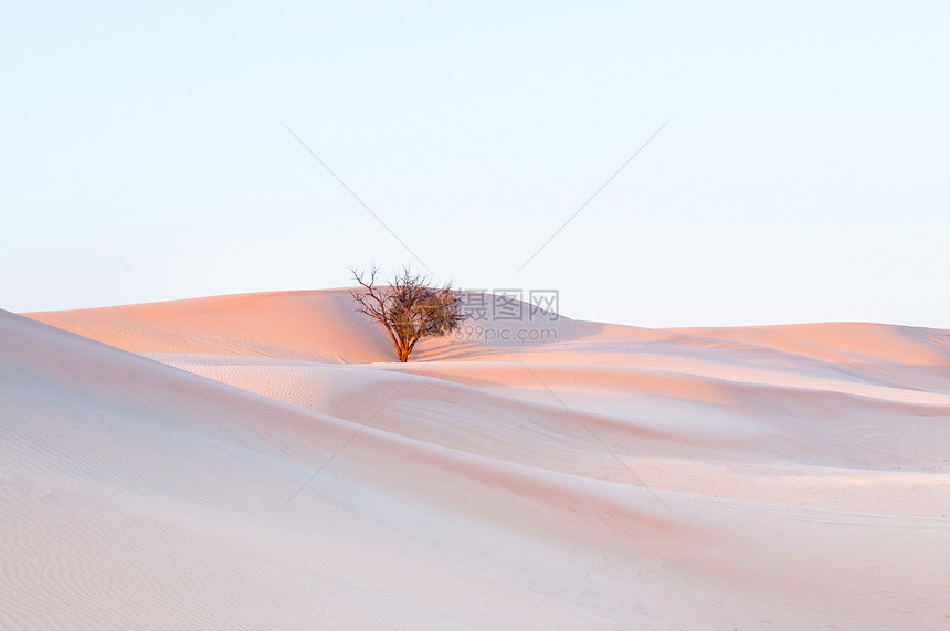 在alWthb沙漠图片