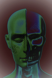 人体头部解剖模型背景图片