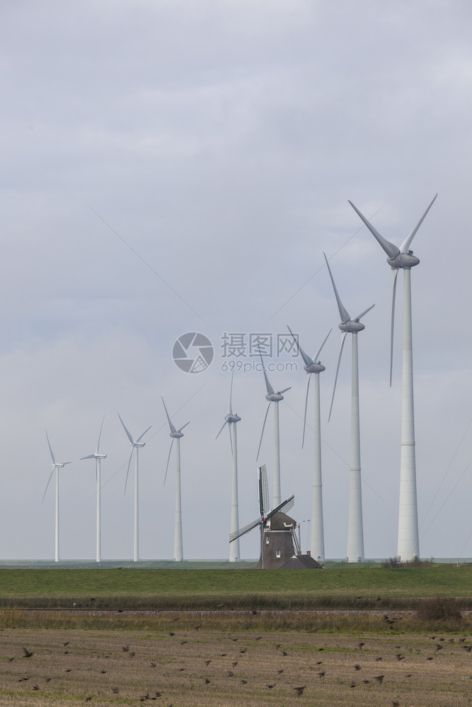 北部省Eemshavn附近的古老风车歌利亚和力涡轮机图片